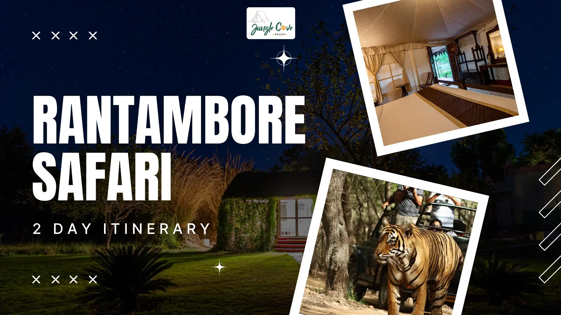 2 Day Ranthambore Safari Itinerary: The Perfect Weekend Plan