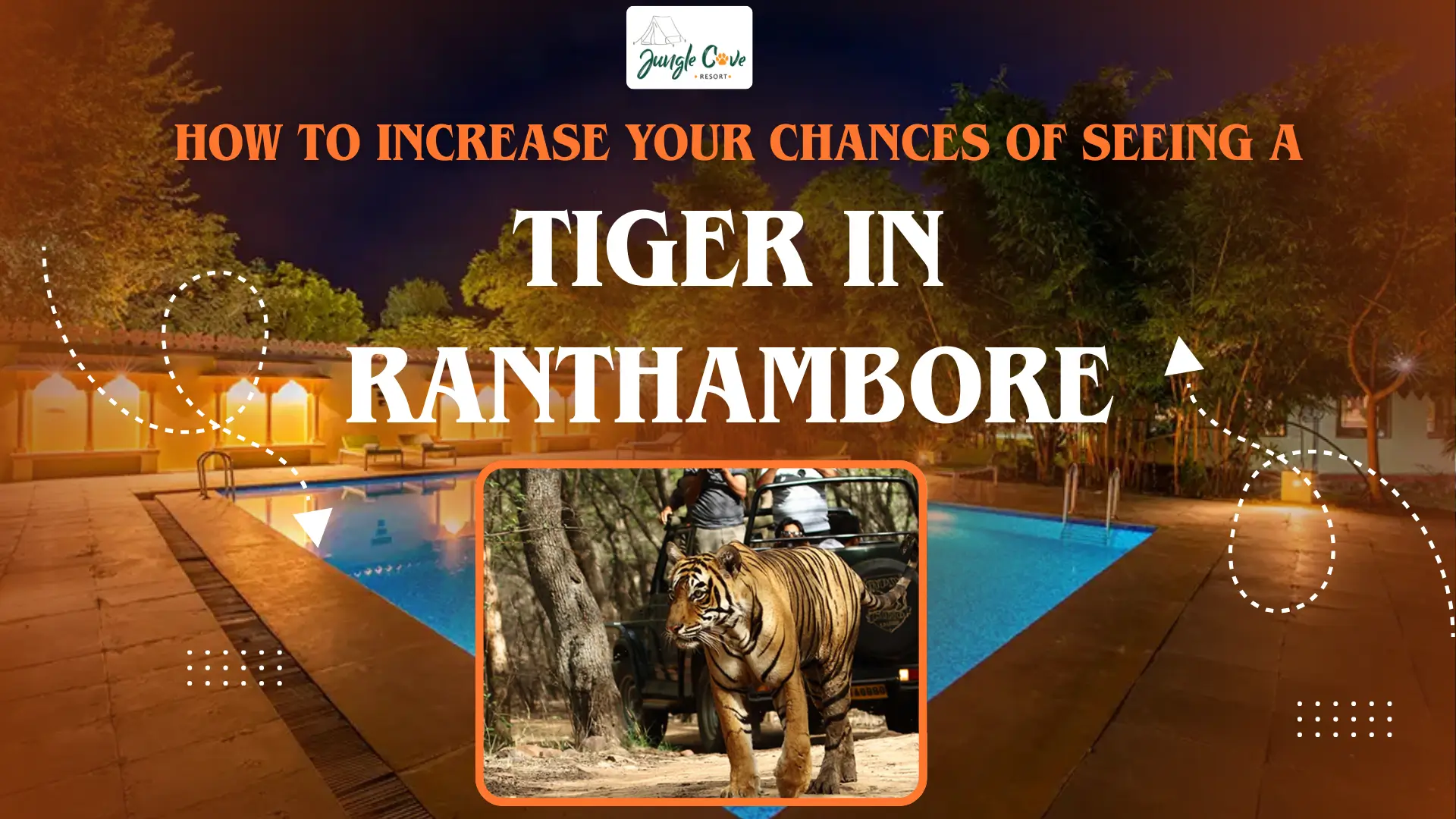 How to Increase Your Chances of Seeing a Tiger in Ranthambore How to Increase Your Chances of Seeing a Tiger in Ranthambore