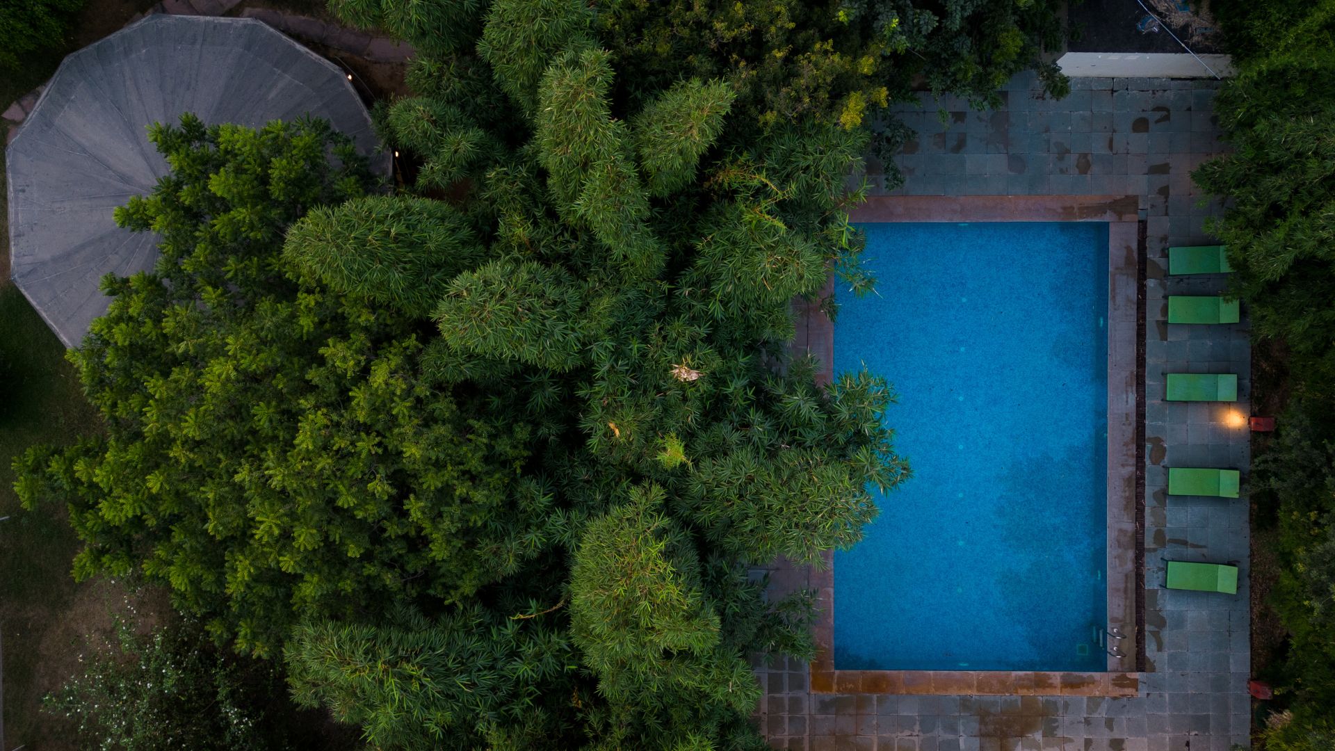 jungle-cave-resort-ranthambore jungle-cave-resort-ranthambore
