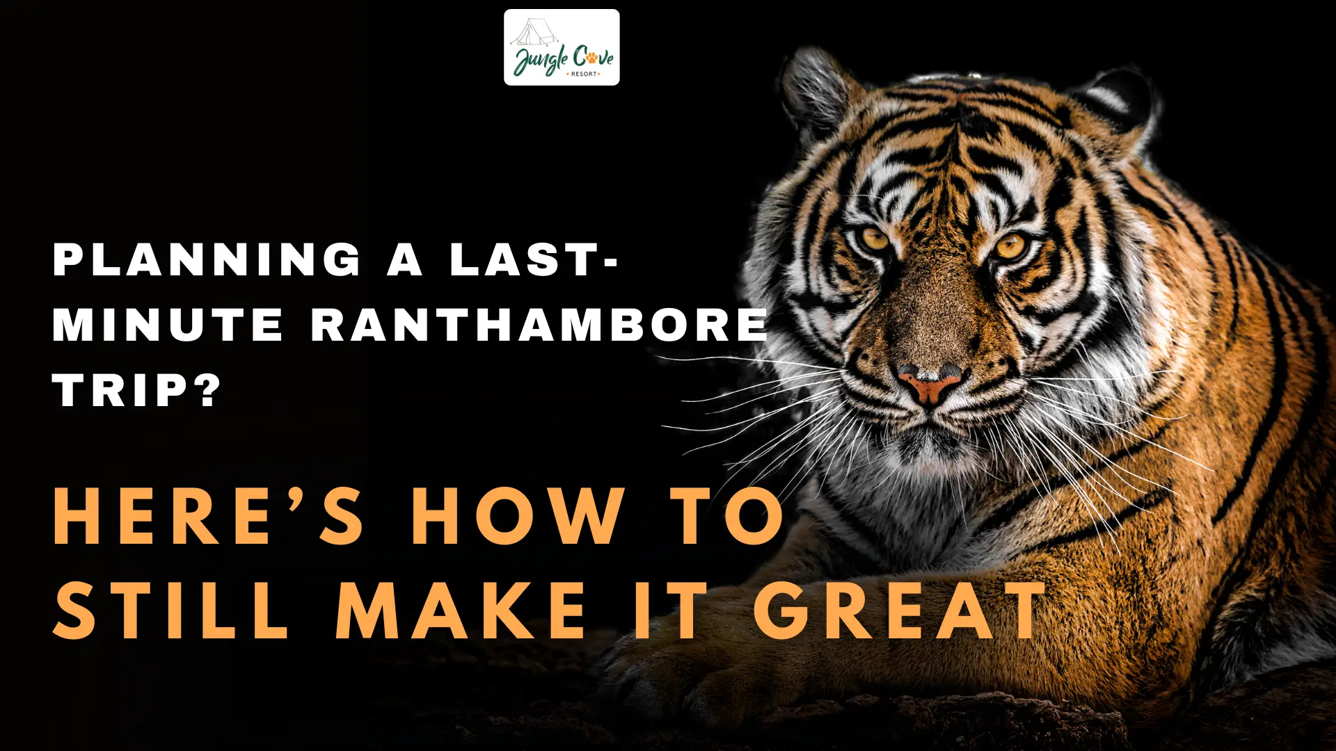 Planning a Last-Minute Ranthambore Trip? Here’s How to Still Make It Great Planning a Last-Minute Ranthambore Trip? Here’s How to Still Make It Great