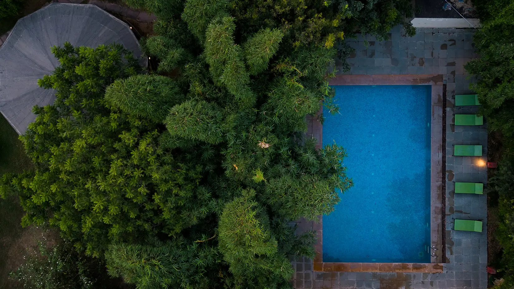 ranthambore best resorts