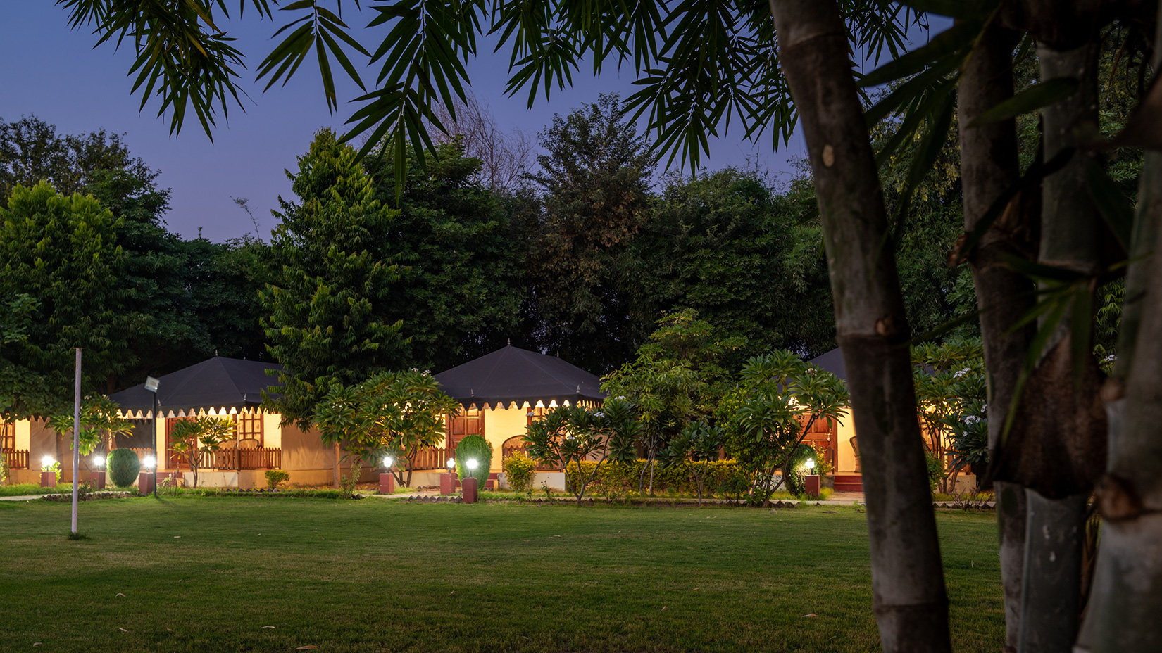 Ranthambore Hotels