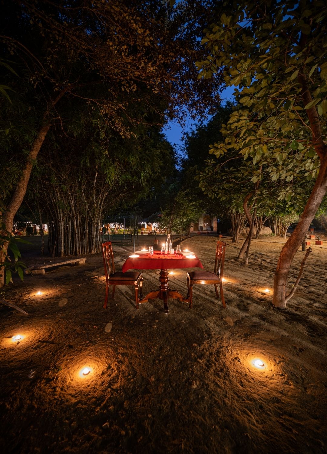resort-in-ranthambore resort-in-ranthambore