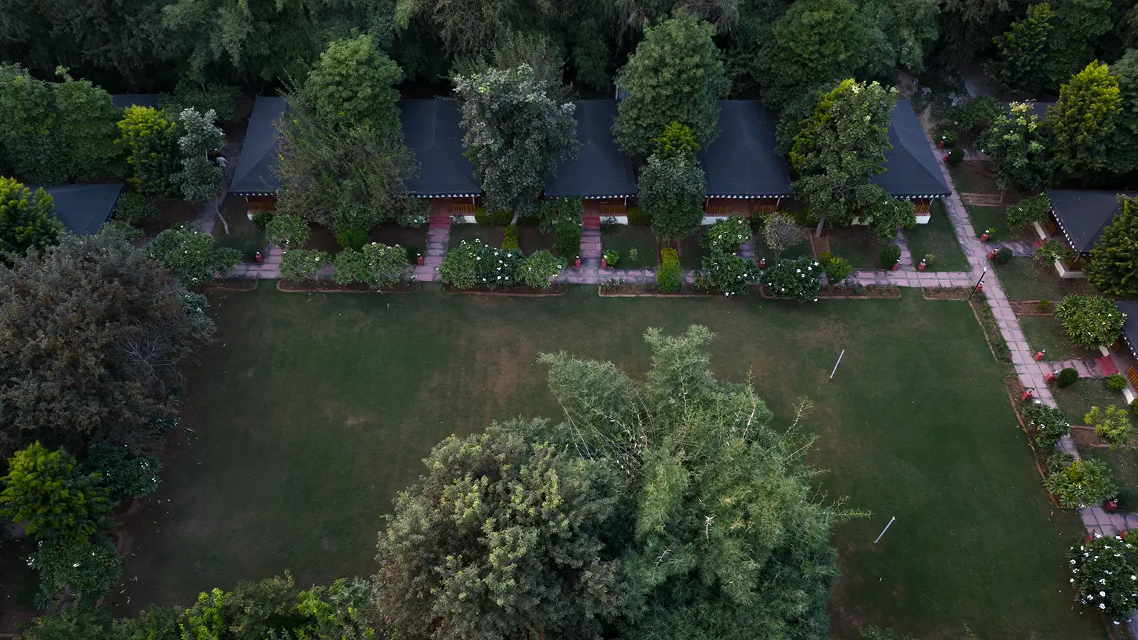 ranthambore national resort